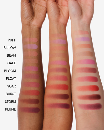 Plush Brush Duo